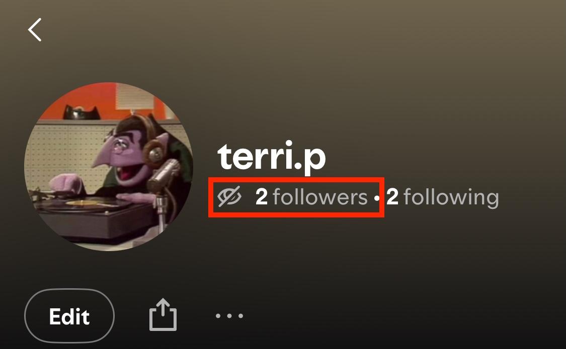 Can You See Who Views Your Spotify Profile?